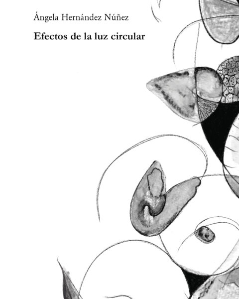 Efectos de la luz circular, Ángela Hernández Núñez